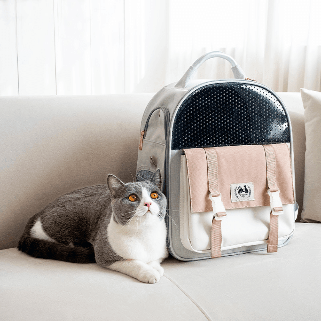 Abenteurer Katzen-Rucksack Premium - catzyfied.ch