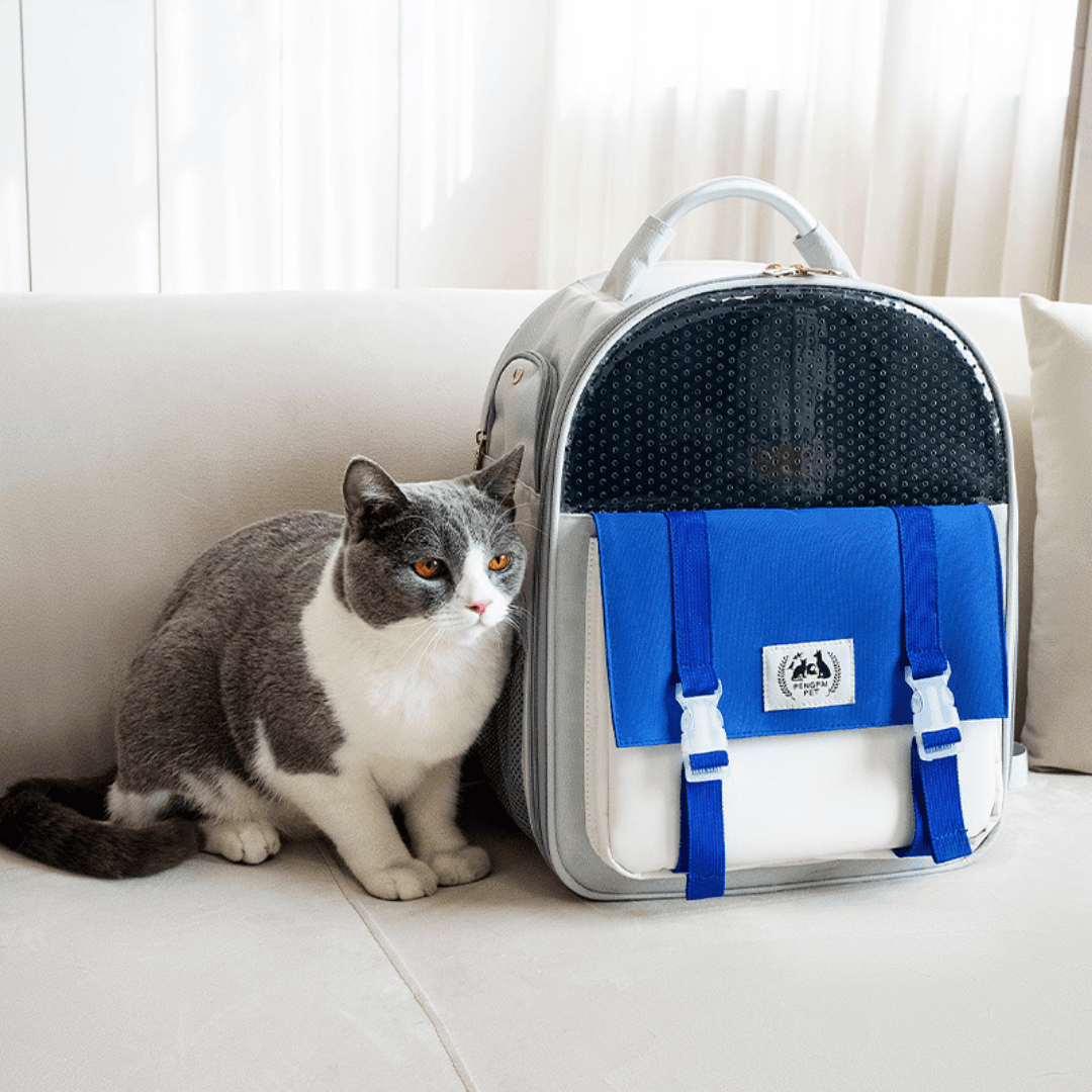 Abenteurer Katzen-Rucksack Premium - catzyfied.ch